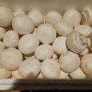 최병철 농장 이미지