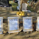 숲속유치원 | 부산케이터링 북구 숲속은성유치원 행사 커피차 후기