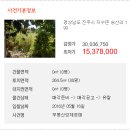 지수면-3 이미지