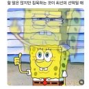 송화실내포차 | 제가 술만 먹고 다니는 사람 같나요? (경상도식당, 종로포차)