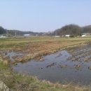 내강리 강촌 이미지