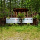 산악자전거경기장 이미지