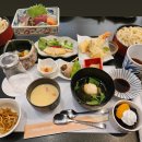 한일타운(아) 제1 | [240625-240626] 방일단: 관동(1)-한일관계, 사이타마 고마 신사, 신오쿠보