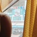 [일기]24.2.19-21 바쁘다 바뻐 현대예비신부