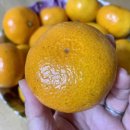 동환농장 이미지