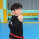 한국체대 다온태권도 이미지