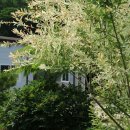 영임농장 이미지