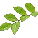 한복&규방공예 이미지