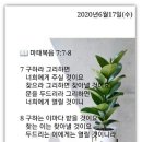 소소한일상 이미지