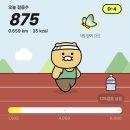 만보 | 만보 걷기 도전 후기｜귀차니즘 극복하고 하루 1만보 성공한 리얼 기록