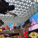 무주김밥나라 | 260216-17_2월 마카오 가족여행