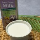 휴먼앤펫 | 블랙독코리아 펫밀크 강아지우유 고양이우유 추천