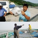 먹거리천국 이미지