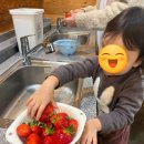 달콤농장 | 일산 꽃보다 딸기 농장 체험 후기: 달콤한 딸기와 함께한 하루