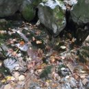 탑골농장 이미지