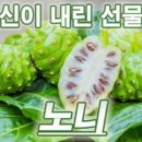 에이스제이엠
