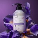 오키드 헤어 이미지