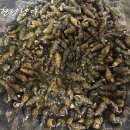 성진푸드 이미지