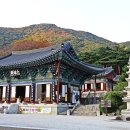 원진축산 Daum카페