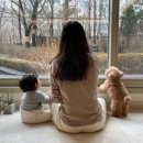 최지우 카카오 검색결과