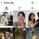포레스트 랩(FOREST LAB) 이미지