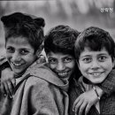 상락정배산실버빌 이미지