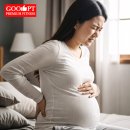 부평스마일마취통증의학과의원 | 임산부 허리통증 완화, 임신 중 허리가 아픈 이유와 바른 접근