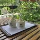 우도랜드 | #2. 제주대 하계 학점교류 2주차 후기....칼국수/에코랜드/스텔라❤️‍🔥/우도/승마/전기자전거/학식/헌혈...