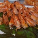 독도참가자미 이미지