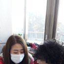 주식회사 마르페 이미지