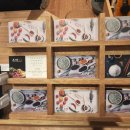 소답동113 이미지