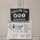 루크스 | 보스턴 여행, 루크스 랍스터, LUKE's robster back bay, Boston, 보스턴 맛집, Hynes Convention Center...