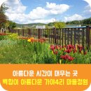 장은4리경로당 이미지