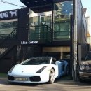 강남애견 - 남구 돋질로 232 | 강남애견