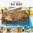 국립칠곡숲체원 | 경북 아이와 가볼만한곳 칠곡 꿀벌체험 꿀벌인, 국립칠곡숲체원
