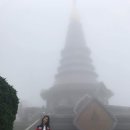 [D+26, 모해?세계일주!] 치앙마이 액티비티! 도이 인타논 국립공원 (Doi Inthanon) / 토요 마켓...