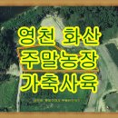 [영천]화산면 분위기 좋은 주말농장 가축사육지역 도로 접 남향 이미지