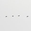 파주휴게소 이미지