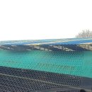 송악사슴농장 이미지