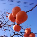 시인공간 이미지