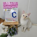 (주)알파벳 | [아토주] 고양이사료 알파벳C - 2달 급여 후기