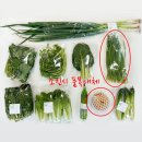 마켓경기 - 경기도 친환경 학교급식 농산물 꾸러미
