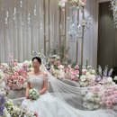 아띠르 | wedding9-3, 아이폰 스냅 :: 월드컵컨벤션 아띠르스냅 내돈내산 본식 후기❤️