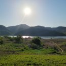 낙단보자전거민박 이미지