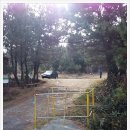 신산교차로 3 이미지