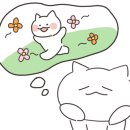 박민우의 착한한우 이미지