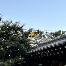 #7. 스몰웨딩 베뉴. 스미스가 좋아하는 한옥 웨딩(견적, 식대 등)