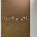 당근PC | [리뷰] 중고노트북 - 당근 중고삼성노트북 구매후기 (환불엔딩)