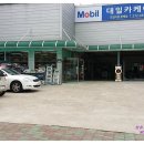 대일카케어