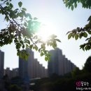 마법의 성 이미지